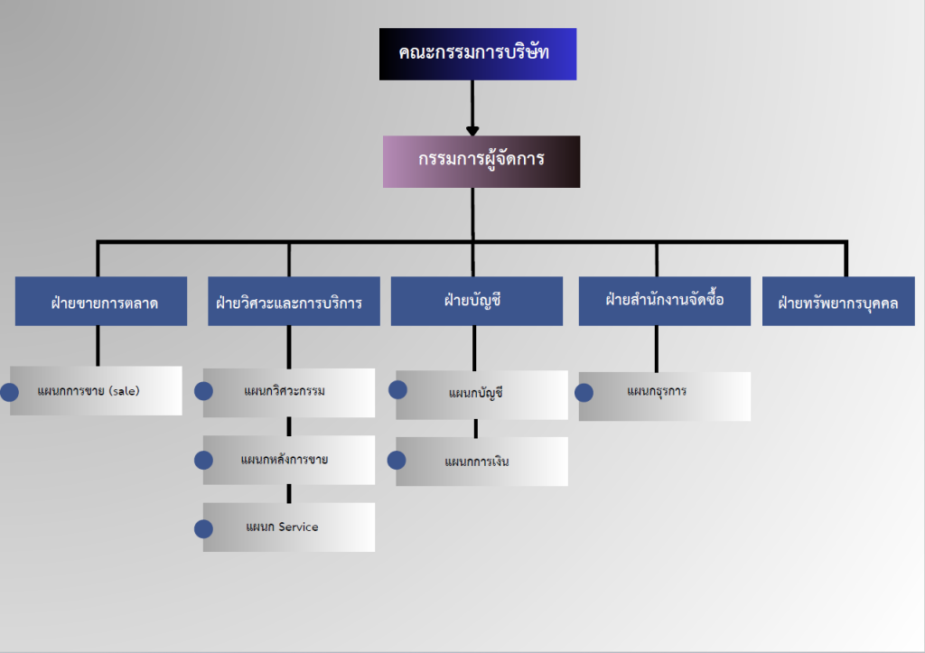 organizational chart